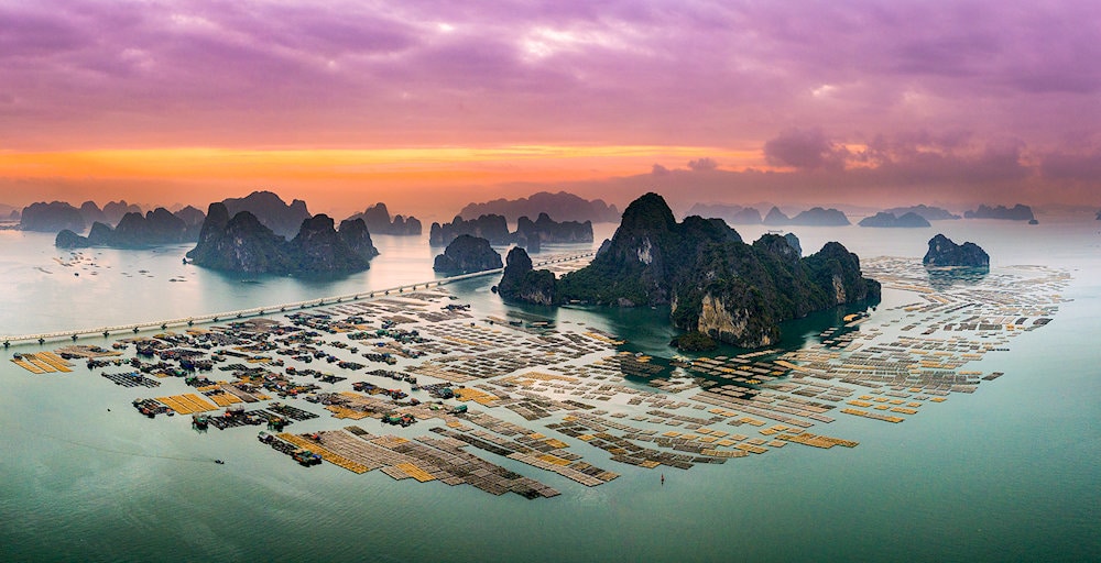 Bai Tu Long National Park has an incredibly diverse ecosystem